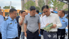  孝感市食药安办从